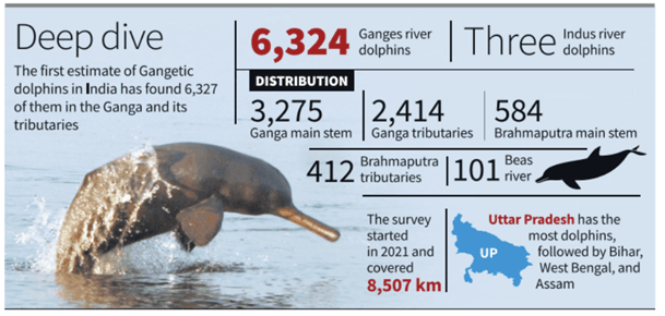 गंगेटिक डॉल्फिन (Gangetic Dolphin)